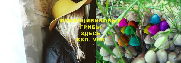 соль ск Наволоки