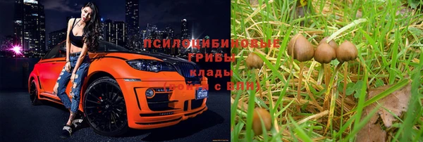 соль ск Наволоки