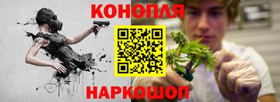 ешки Бийск