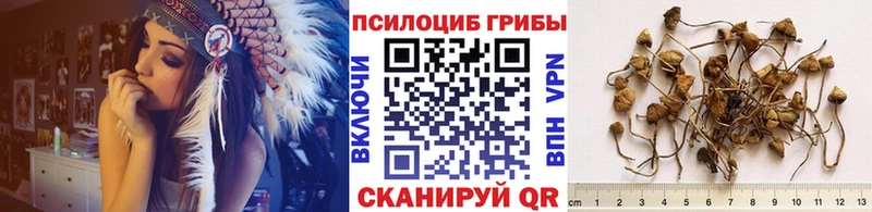 Псилоцибиновые грибы Magic Shrooms Всеволожск